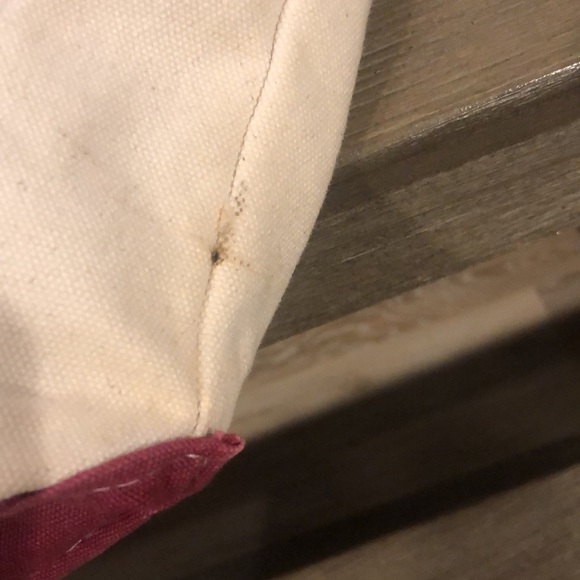 Delta Zeta Canvas Tote - Picture 12 of 12